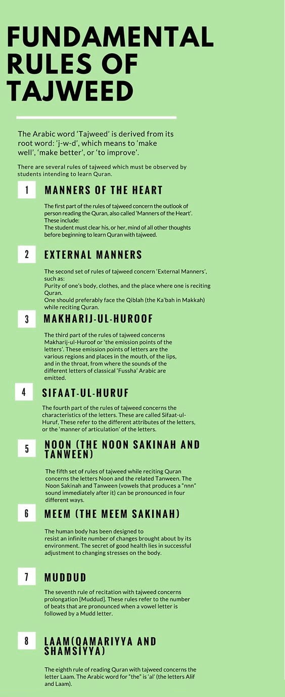 Basic rules of tajweed (infographic)- Almuhammadi Academy
