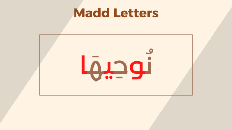 Types Of Madd In Tajweed With Simple Examples 