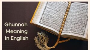 Ghunnah Meaning in English