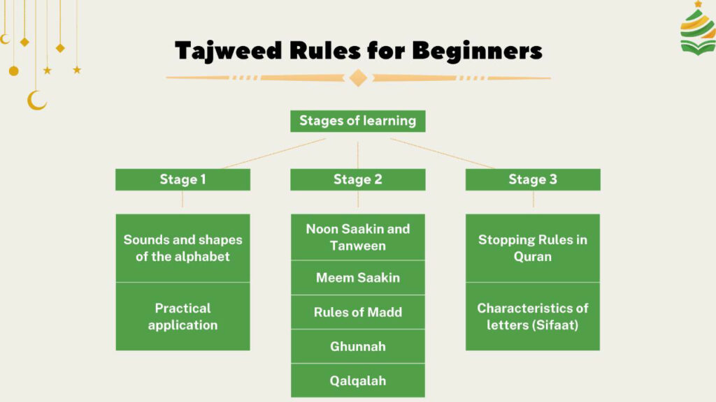 Tajweed Rules for Beginners