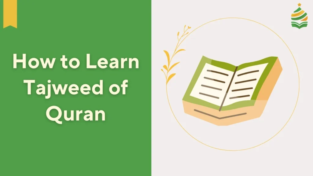 learn tajweed of quran