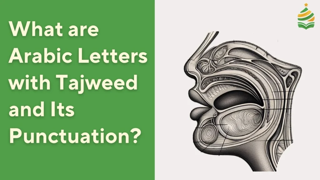 Arabic Letters with Tajweed and Its Punctuation