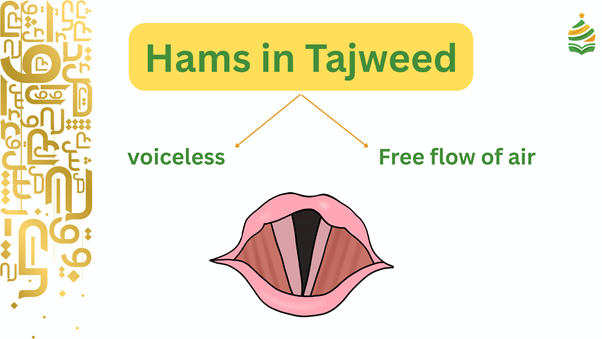 hams in tajweed