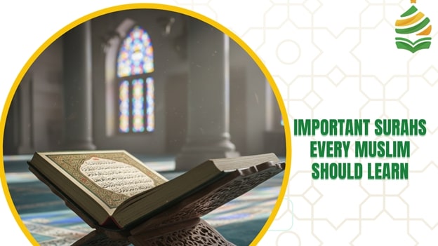 Important Surahs muslims should learn